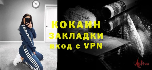 PSILOCYBIN Вязьма