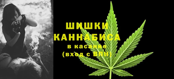 Альфа ПВП Гусев