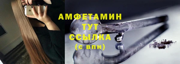 ГАЛЛЮЦИНОГЕННЫЕ ГРИБЫ Вязники