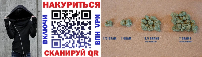 Каннабис сатива Енисейск